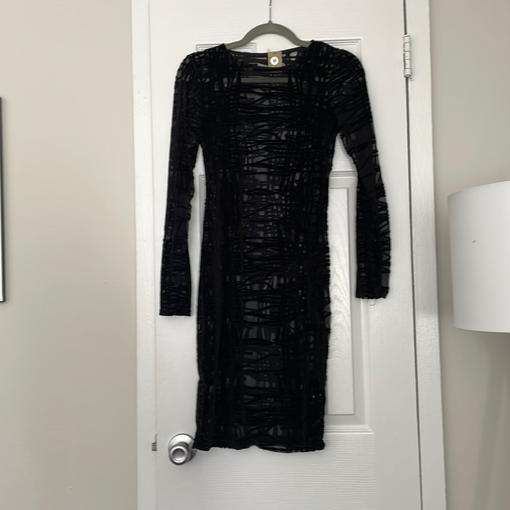 Sheer black mini dress